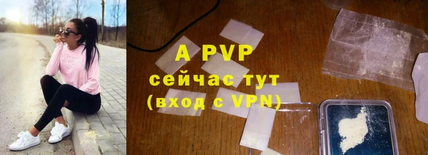 метадон Богданович