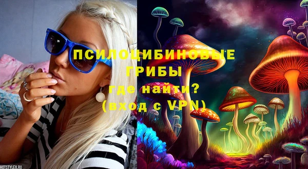 a pvp Володарск
