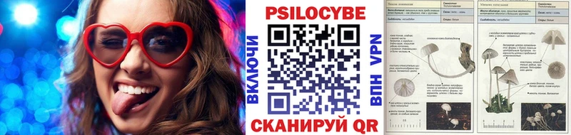 Галлюциногенные грибы Magic Shrooms  Елабуга 