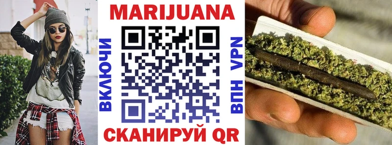 Конопля сатива  закладка  Елабуга 